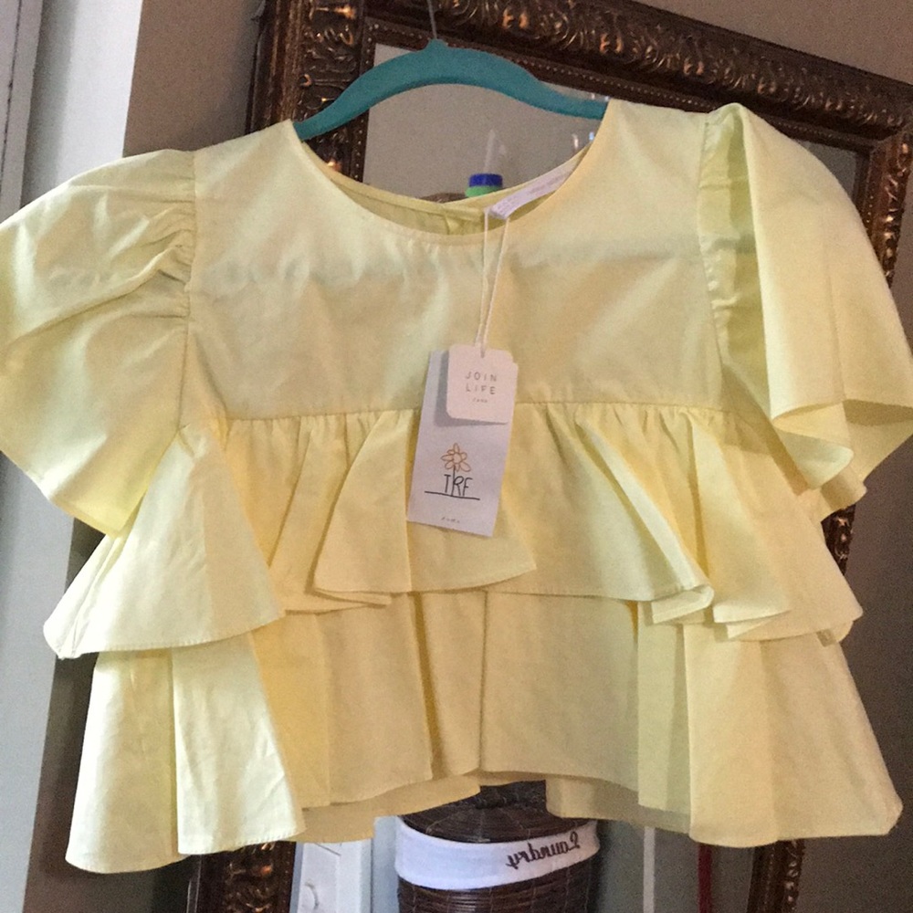 Zara crop top